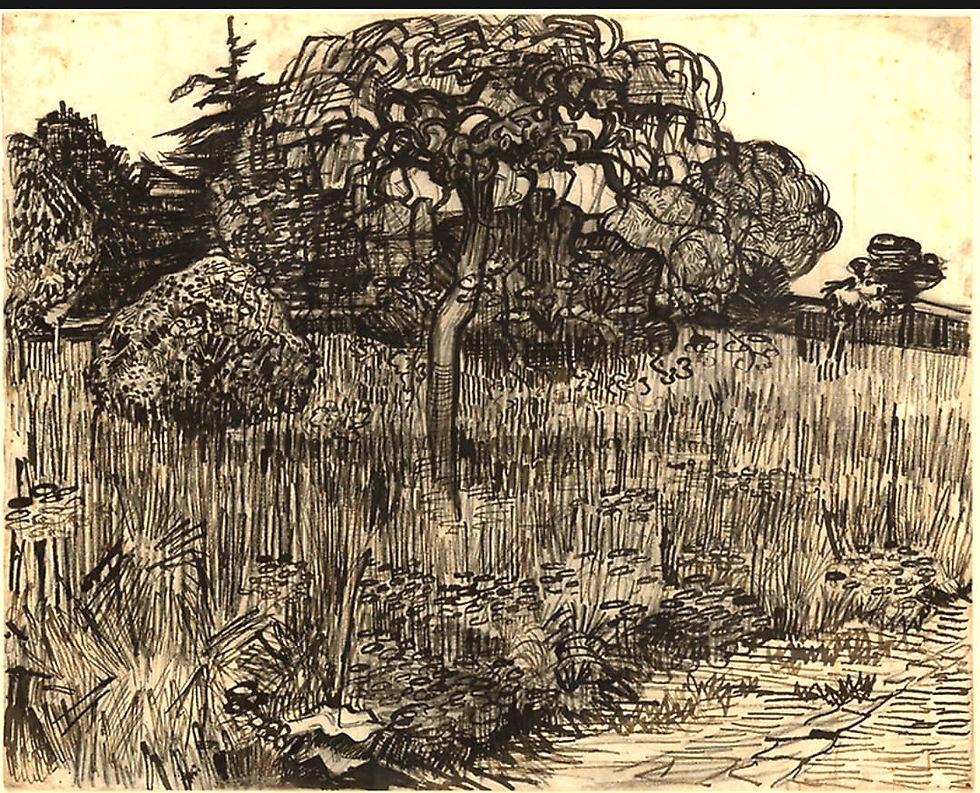 Weeping three - 1899
