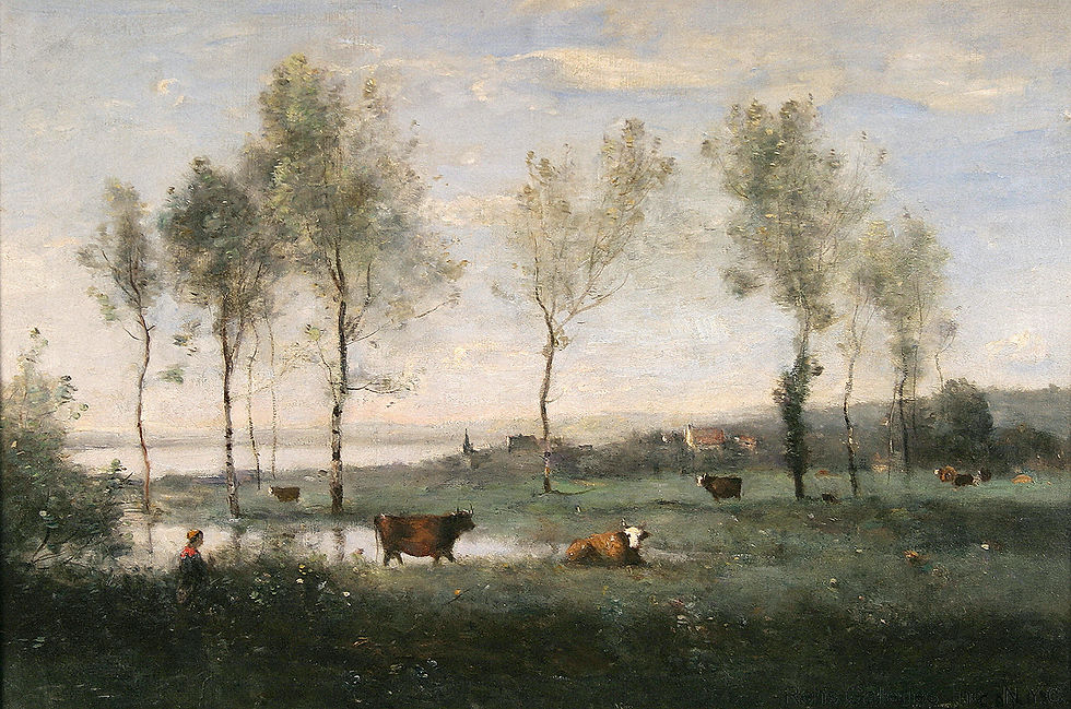 paturage dans les marais