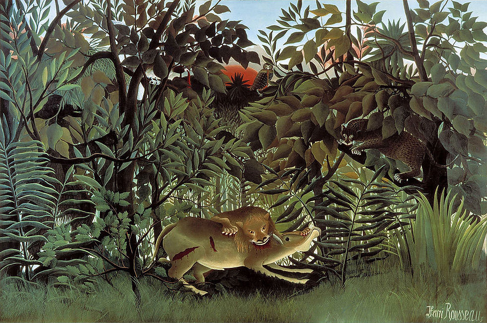 Hungry-Lion