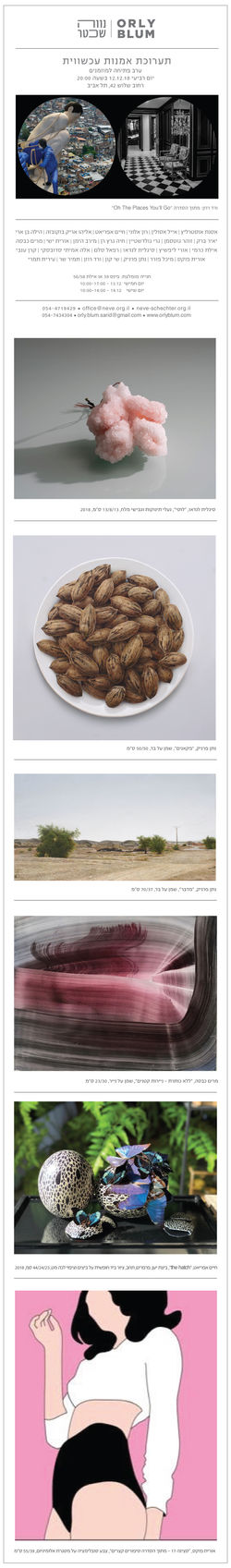 Neve Schechter ,a group exhibition .