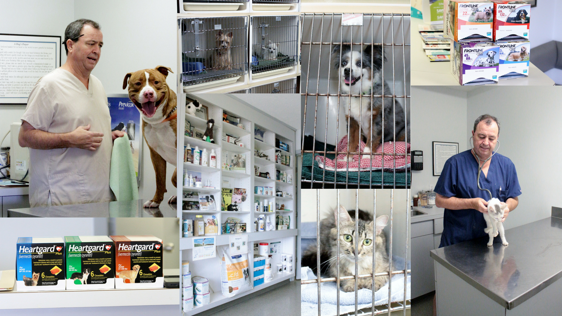 heartland veterinary