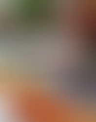 Trilhas da Criatividade: O Processo de Edição na Livre Escolha