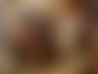                                 Farneticazioni saggio-emotive