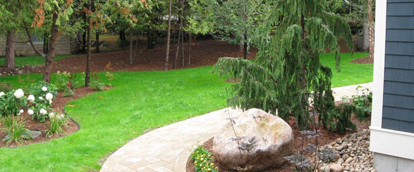 Beautiful backyard with Sludgehammer