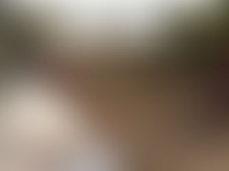 The Living Bridge: A Skill