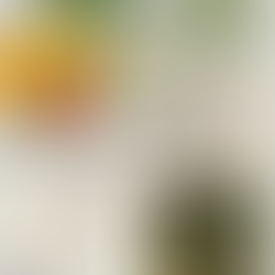 Welcome to the New Ohhh So Freshhh: A Fresh Chapter Begins