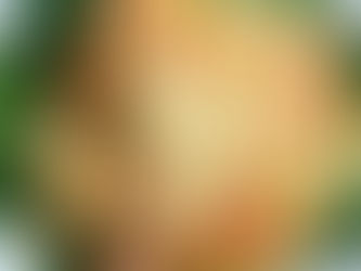 Delicious Freshhh Eggs and Vegetables Breakfast Recipe with Spinach and Parmesan