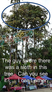 Slide7.JPG