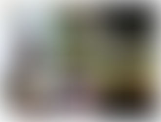 Cheerleaders - We don't need wings to fly!