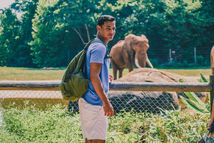 Visitor_View of Elephant