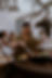 image00037.jpeg