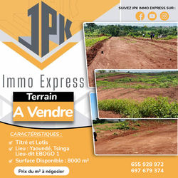 TERRAIN À VENDRE À TSINGA VILLAGE