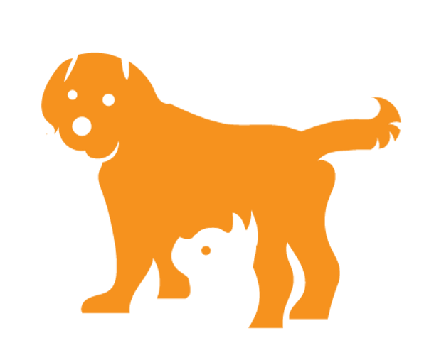 holybrooks dog walking