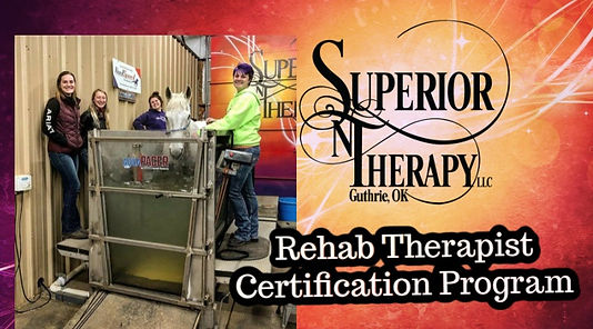 Learn Equine Therapy Rehab Certification Course