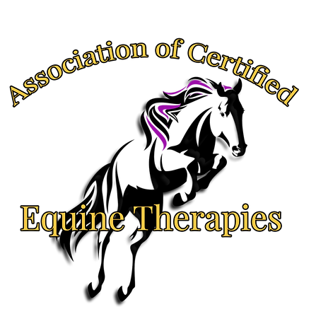 Association Of Certified Equine Therapies