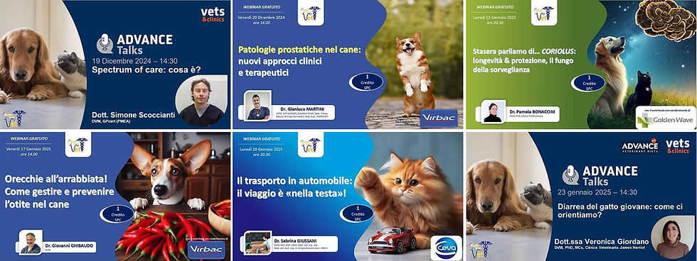 eventi dicembre 2024 gen 2025.jpg