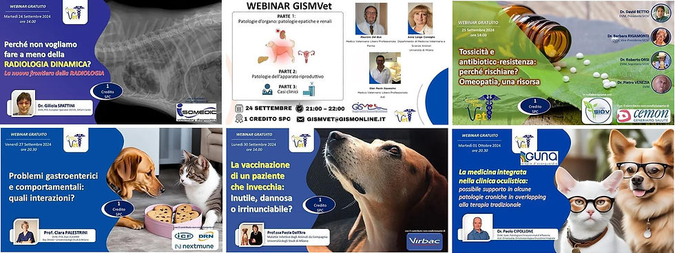 eventi settembre ott 2024.jpg