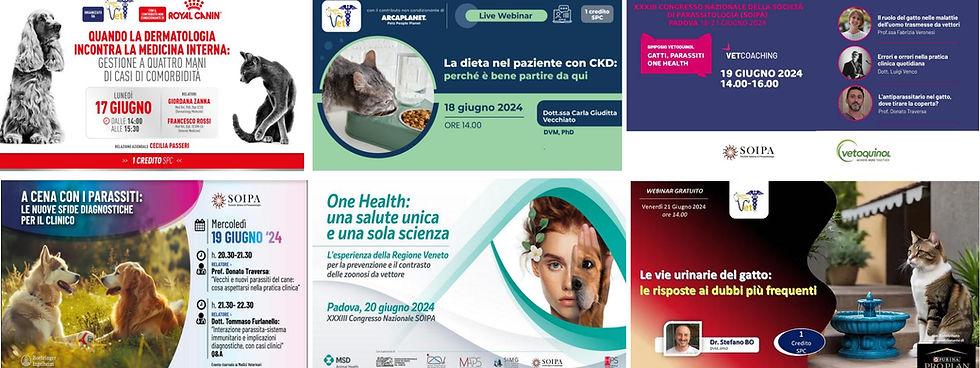 eventi 2 giugno 2024.jpg