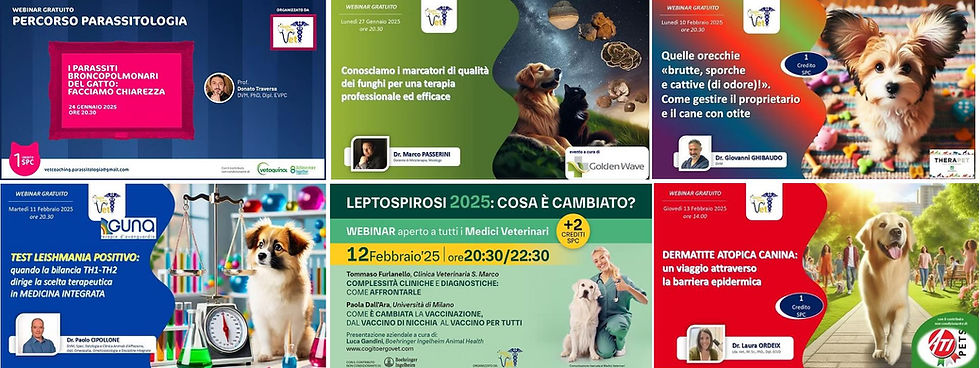 eventi gen feb 2025.jpg