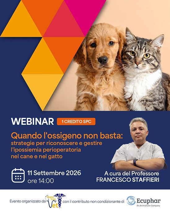 Webinar-11.09_Staffieri.jpg