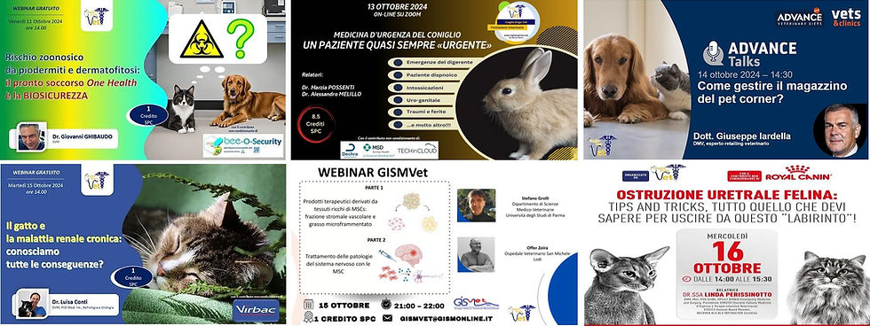 eventi ottobre 2024.jpg