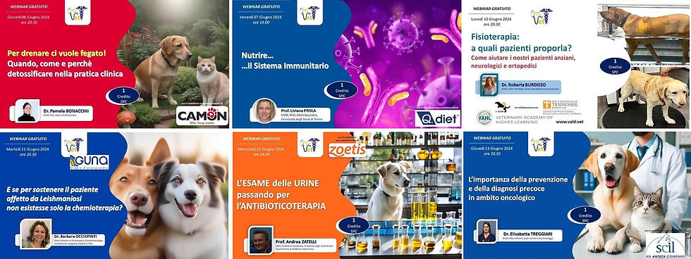 eventi giugno 2024.jpg