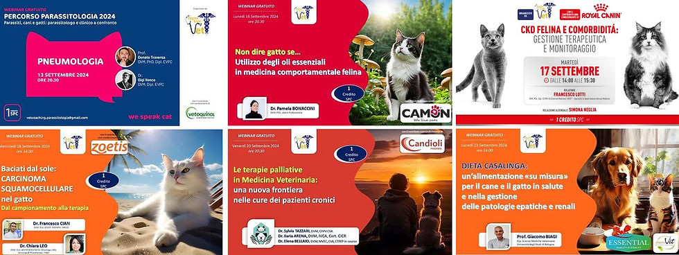 eventi settembre 2024.jpg