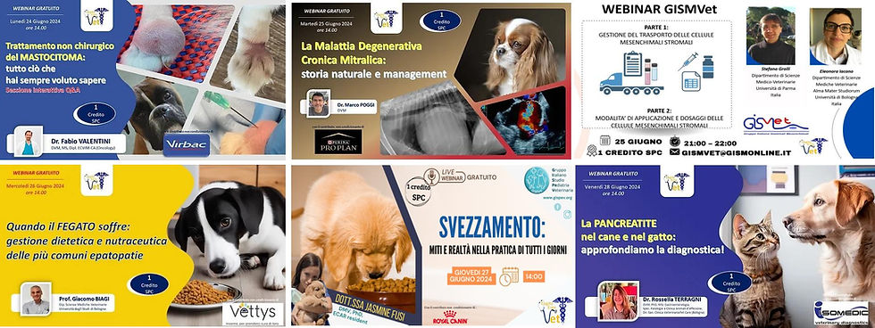 eventi 3 giugno 2024.jpg