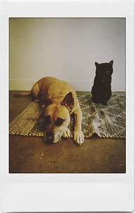 IMG_340591E6D432-1.jpeg