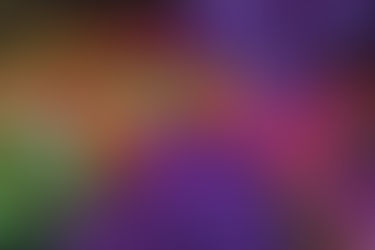 Christmas Fun in Vegas!