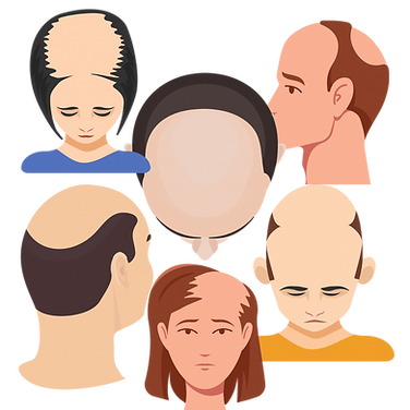 A10C46F5-21C1-4039-AB27-4B071991427D.PNG