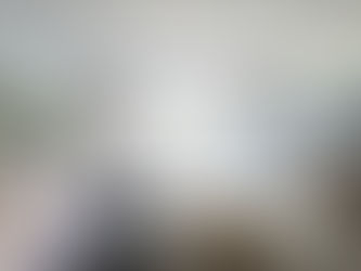 Master Bedroom: Beach to the Burbs