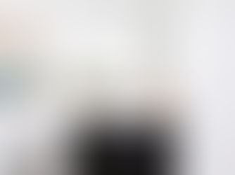 Guest Bathroom: Foxy Bath Remodel Project