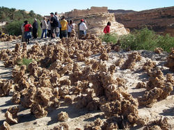 Fotohalt bei Mides_Bildgröße ändern