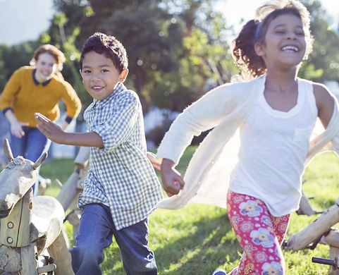living will lawyer fremont, estate planning lawyer fremont