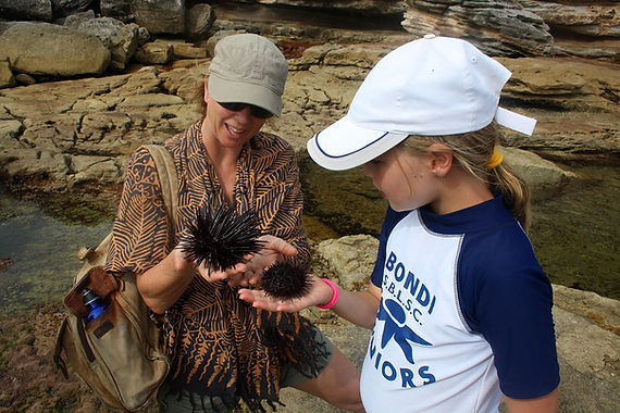 31-01-2010 Waverley Rockpool Walk - Locals Mel and Tawny and their urchins.jpg