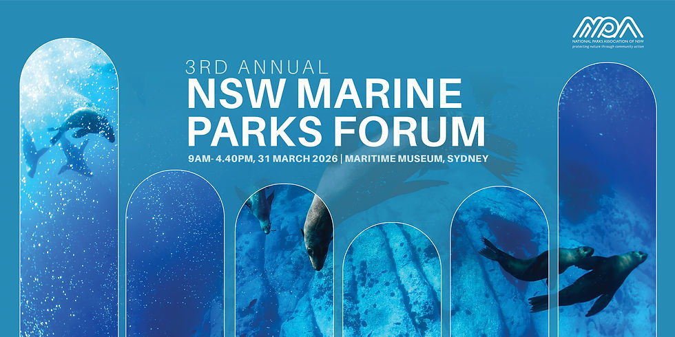 Marine forum banner.jpg