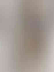 Світшот жіночий