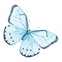 Watercolor Butterfly 12