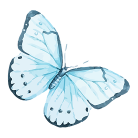 Watercolor Butterfly 12