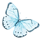 Papillon Aquarelle 12