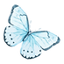 Watercolor Butterfly 12
