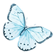 Papillon Aquarelle 12