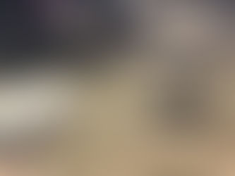 Tagg starts sheep dog training!!