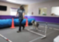 rubyagility.jpeg