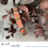 Miniature : Balam - Corail et Or