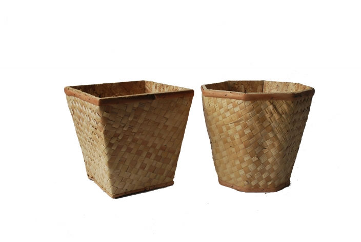 Símbidio de esteiras Cód: CP302