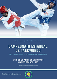 Cartaz estadual 2020 sem AABB.png