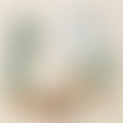 Flat lay of summer family outfits in soft, breathable fabrics and neutral tones. Includes a sage green sundress, cream tiered dress for a girl, light blue short-sleeve button-up shirt, sage t-shirt, and two pairs of beige shorts. Completed with coordinating sandals and slip-on shoes.