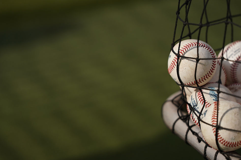 baseball bag photo medium.JPG